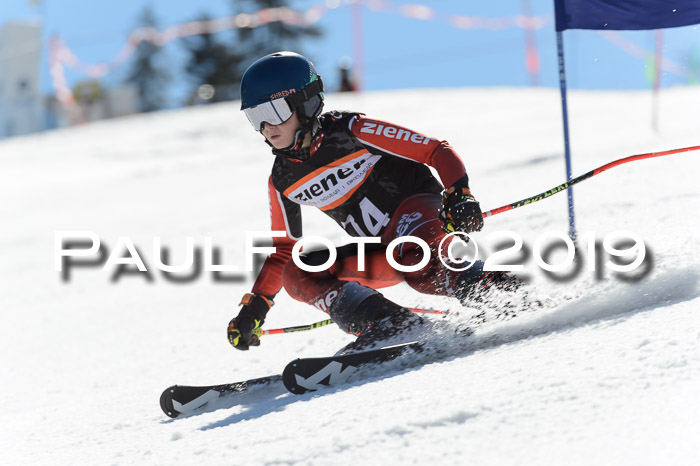Ziener Cup WF,Finale, Quali + PSL, 30.03.2019