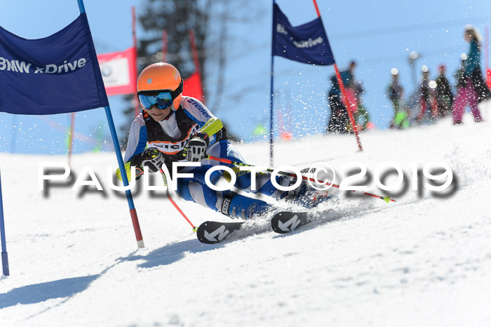 Ziener Cup WF,Finale, Quali + PSL, 30.03.2019