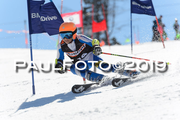 Ziener Cup WF,Finale, Quali + PSL, 30.03.2019