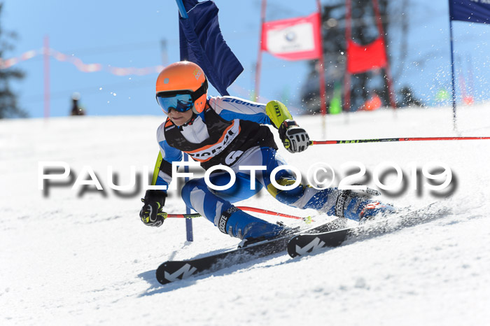 Ziener Cup WF,Finale, Quali + PSL, 30.03.2019