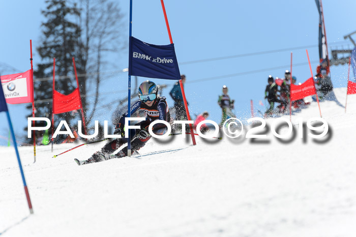 Ziener Cup WF,Finale, Quali + PSL, 30.03.2019