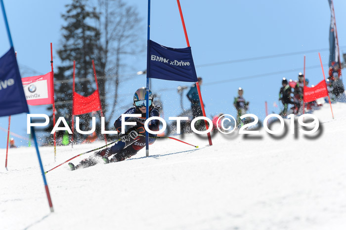 Ziener Cup WF,Finale, Quali + PSL, 30.03.2019