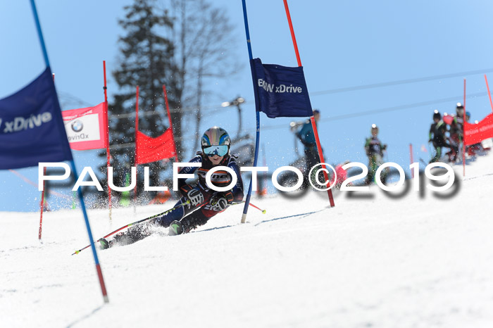 Ziener Cup WF,Finale, Quali + PSL, 30.03.2019
