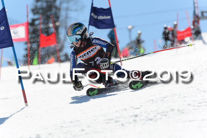 Ziener Cup WF,Finale, Quali + PSL, 30.03.2019
