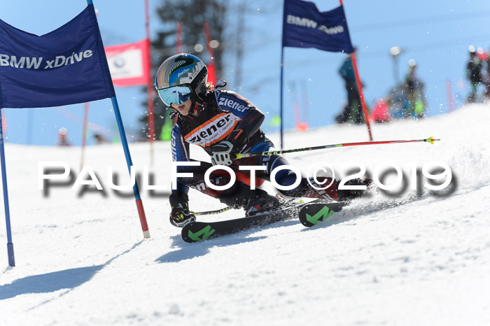 Ziener Cup WF,Finale, Quali + PSL, 30.03.2019