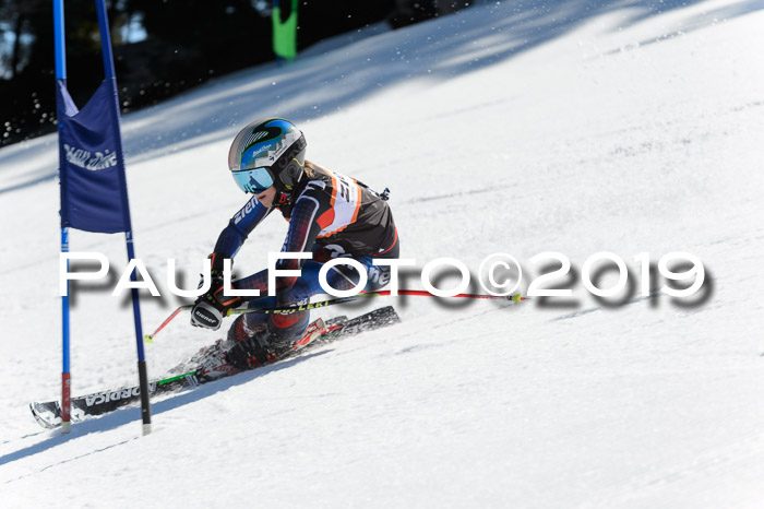 Ziener Cup WF,Finale, Quali + PSL, 30.03.2019
