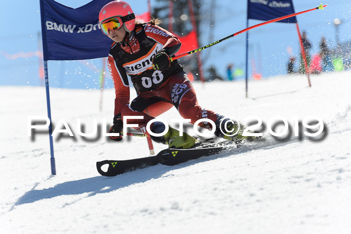 Ziener Cup WF,Finale, Quali + PSL, 30.03.2019