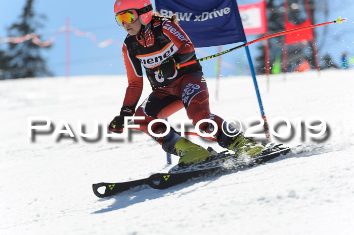 Ziener Cup WF,Finale, Quali + PSL, 30.03.2019
