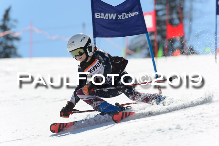 Ziener Cup WF,Finale, Quali + PSL, 30.03.2019