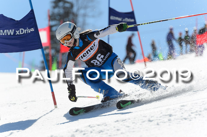 Ziener Cup WF,Finale, Quali + PSL, 30.03.2019