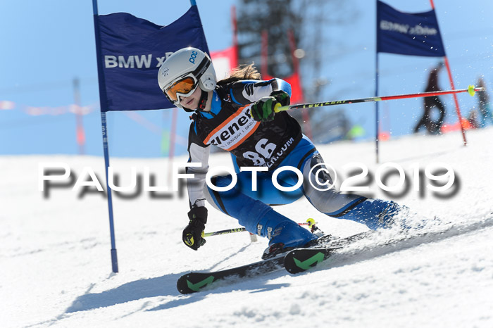 Ziener Cup WF,Finale, Quali + PSL, 30.03.2019