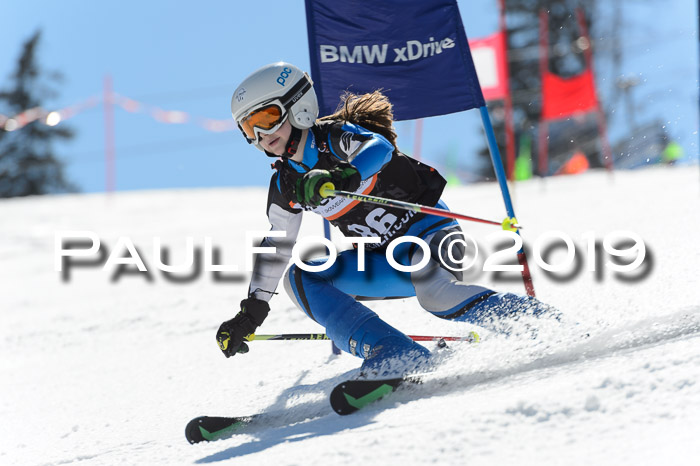 Ziener Cup WF,Finale, Quali + PSL, 30.03.2019