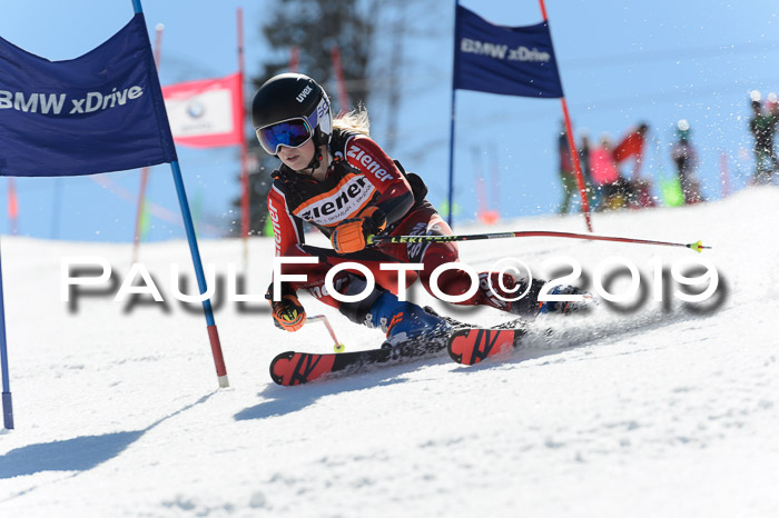 Ziener Cup WF,Finale, Quali + PSL, 30.03.2019