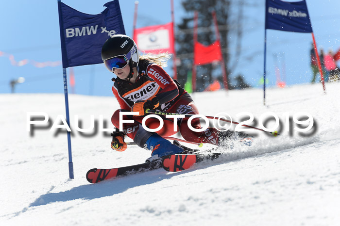 Ziener Cup WF,Finale, Quali + PSL, 30.03.2019