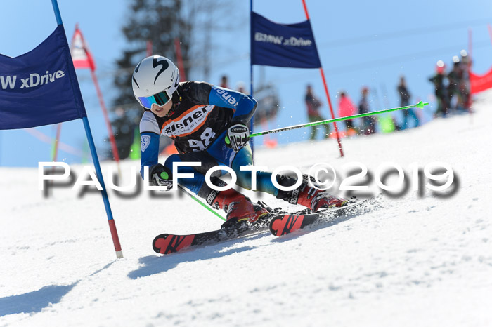 Ziener Cup WF,Finale, Quali + PSL, 30.03.2019