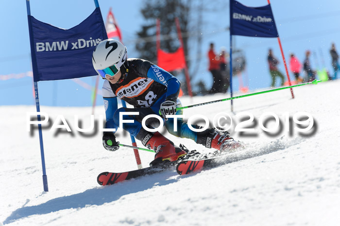 Ziener Cup WF,Finale, Quali + PSL, 30.03.2019