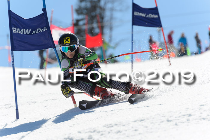 Ziener Cup WF,Finale, Quali + PSL, 30.03.2019