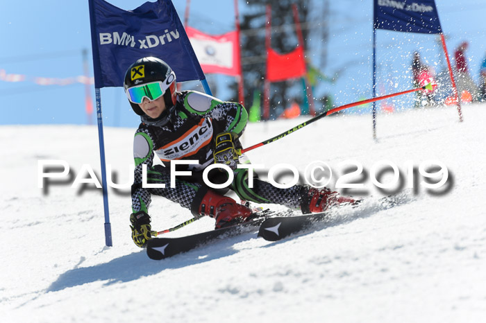 Ziener Cup WF,Finale, Quali + PSL, 30.03.2019