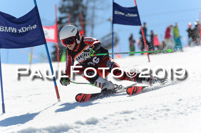 Ziener Cup WF,Finale, Quali + PSL, 30.03.2019