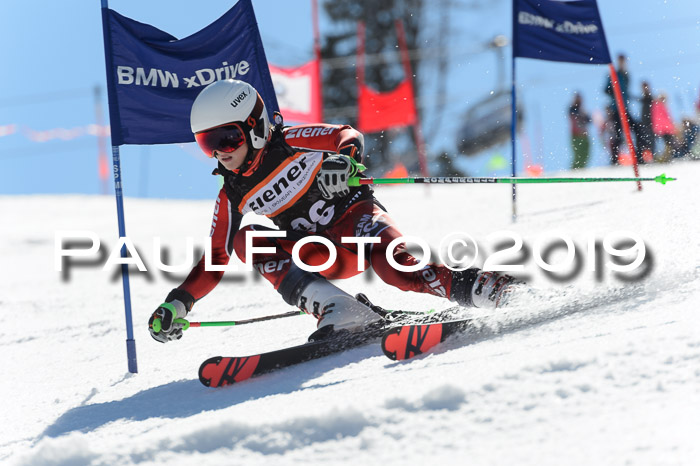 Ziener Cup WF,Finale, Quali + PSL, 30.03.2019