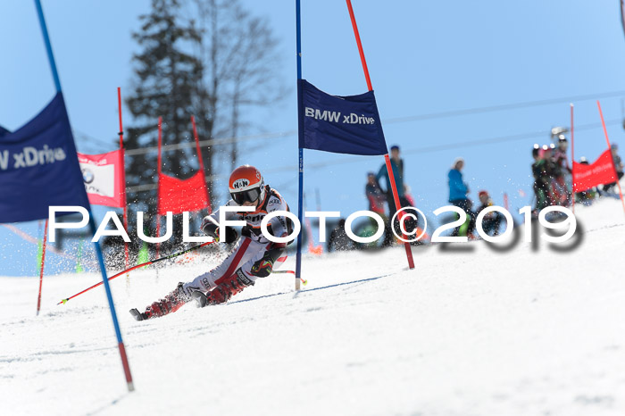 Ziener Cup WF,Finale, Quali + PSL, 30.03.2019