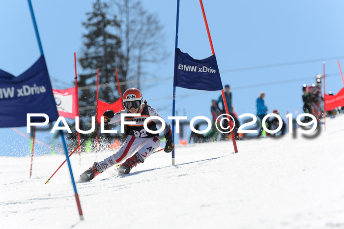 Ziener Cup WF,Finale, Quali + PSL, 30.03.2019