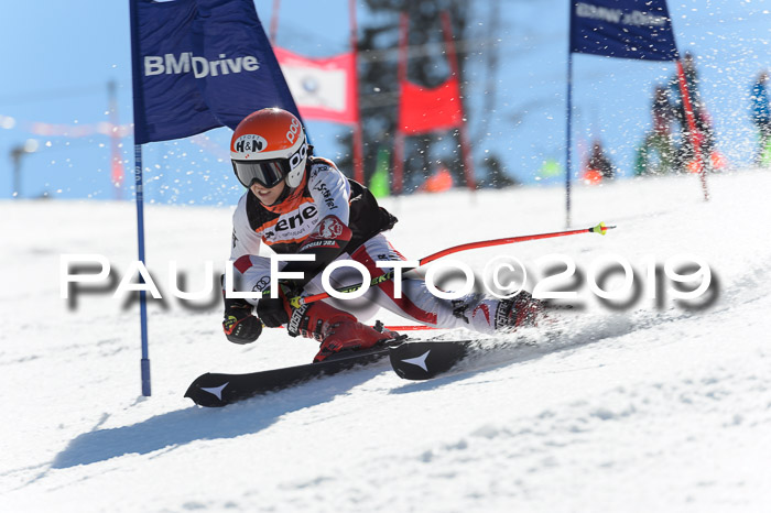 Ziener Cup WF,Finale, Quali + PSL, 30.03.2019