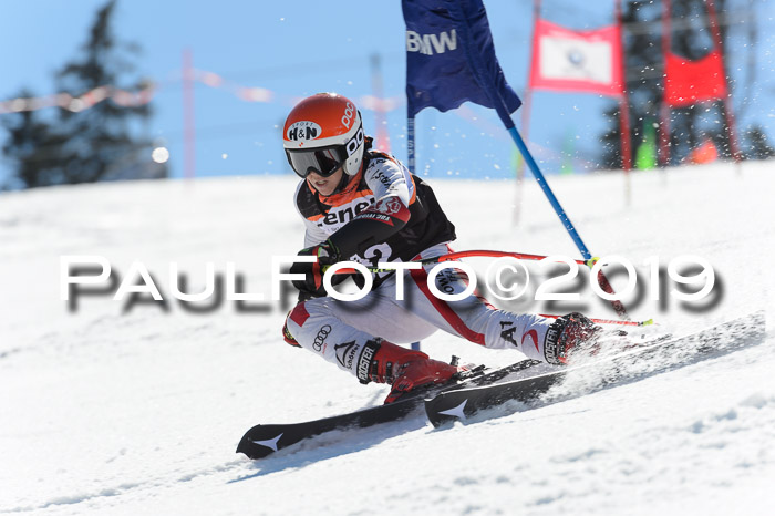Ziener Cup WF,Finale, Quali + PSL, 30.03.2019