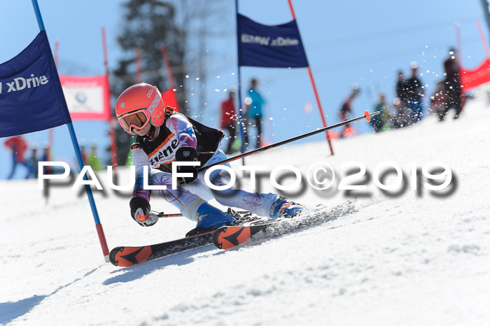 Ziener Cup WF,Finale, Quali + PSL, 30.03.2019