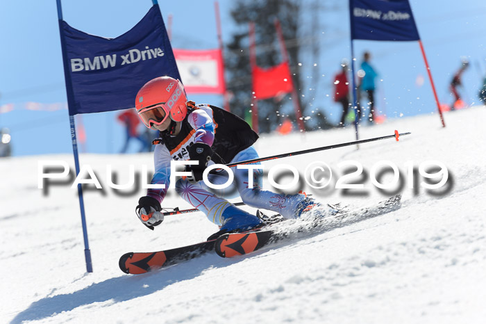 Ziener Cup WF,Finale, Quali + PSL, 30.03.2019