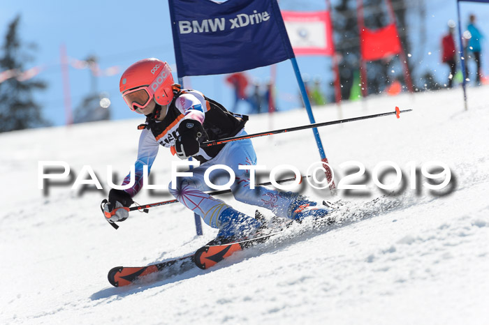 Ziener Cup WF,Finale, Quali + PSL, 30.03.2019