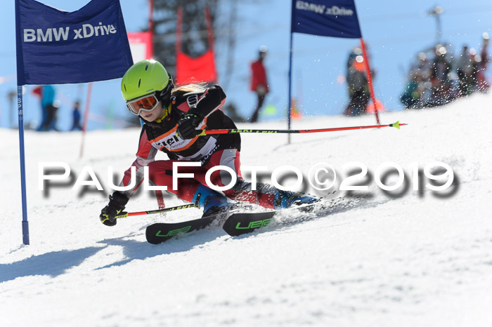 Ziener Cup WF,Finale, Quali + PSL, 30.03.2019