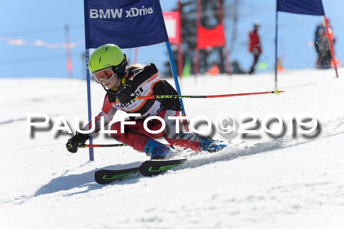 Ziener Cup WF,Finale, Quali + PSL, 30.03.2019