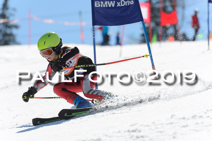 Ziener Cup WF,Finale, Quali + PSL, 30.03.2019