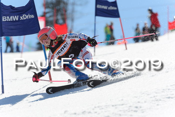 Ziener Cup WF,Finale, Quali + PSL, 30.03.2019