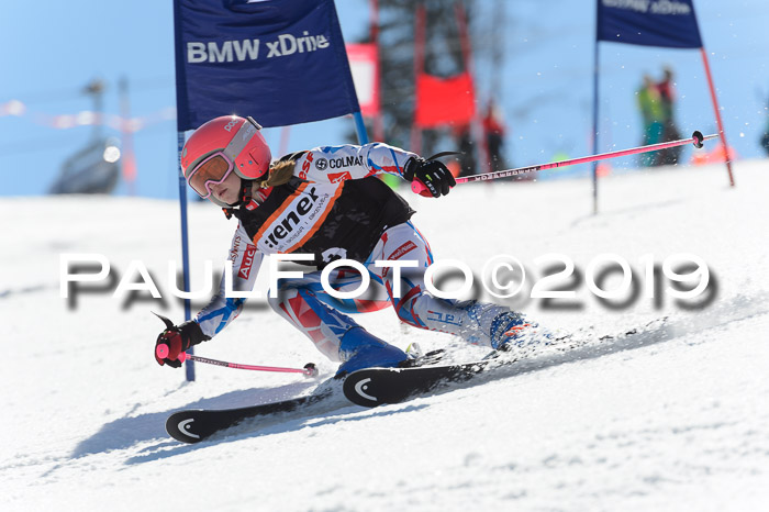 Ziener Cup WF,Finale, Quali + PSL, 30.03.2019