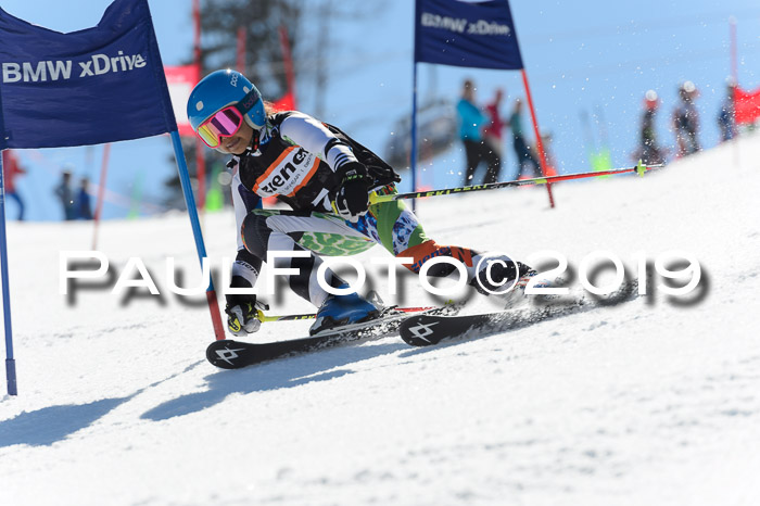 Ziener Cup WF,Finale, Quali + PSL, 30.03.2019