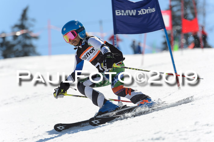 Ziener Cup WF,Finale, Quali + PSL, 30.03.2019