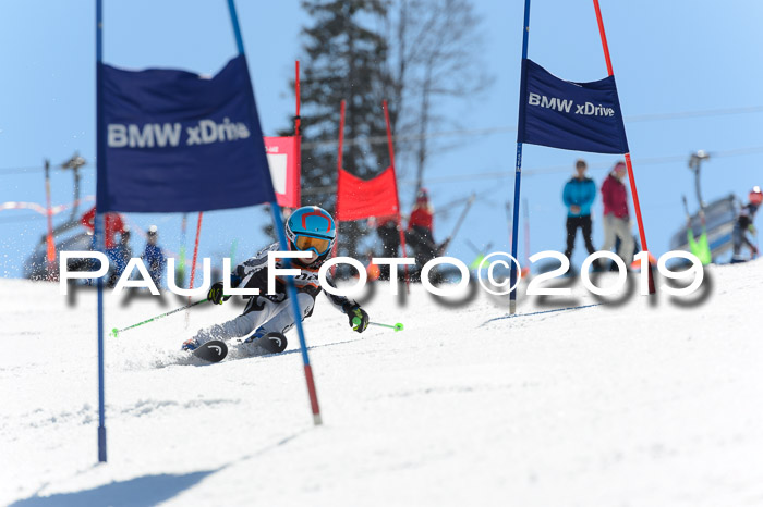 Ziener Cup WF,Finale, Quali + PSL, 30.03.2019
