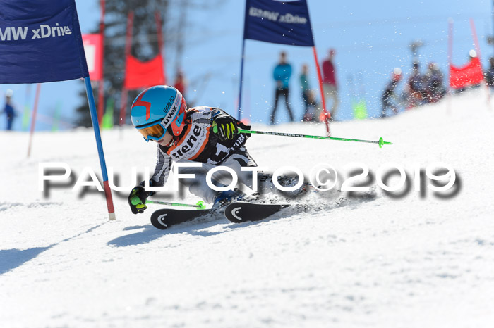 Ziener Cup WF,Finale, Quali + PSL, 30.03.2019