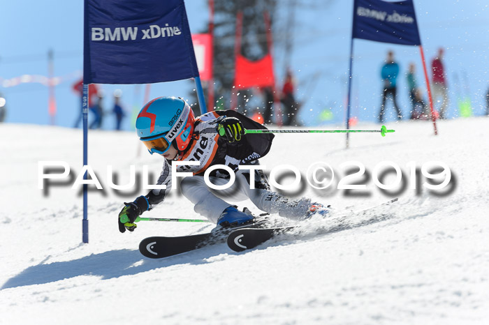 Ziener Cup WF,Finale, Quali + PSL, 30.03.2019