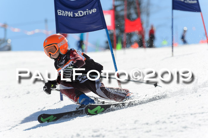 Ziener Cup WF,Finale, Quali + PSL, 30.03.2019
