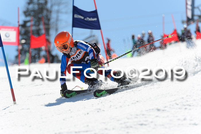 Ziener Cup WF,Finale, Quali + PSL, 30.03.2019