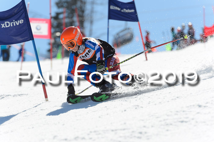 Ziener Cup WF,Finale, Quali + PSL, 30.03.2019