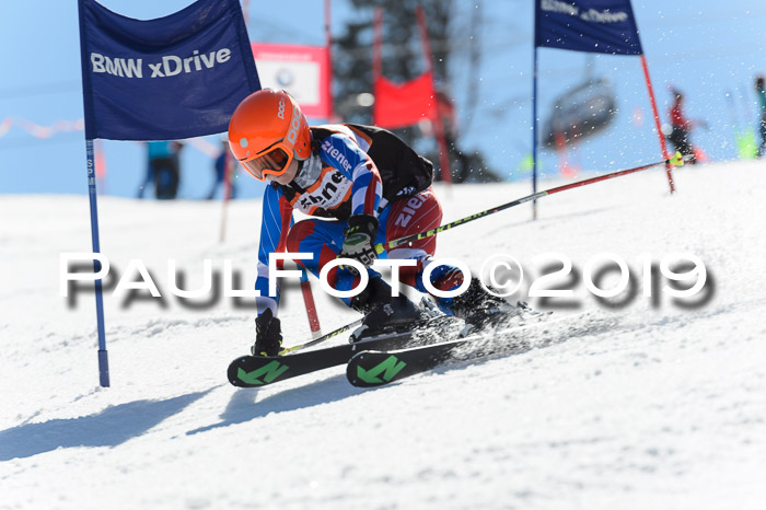 Ziener Cup WF,Finale, Quali + PSL, 30.03.2019