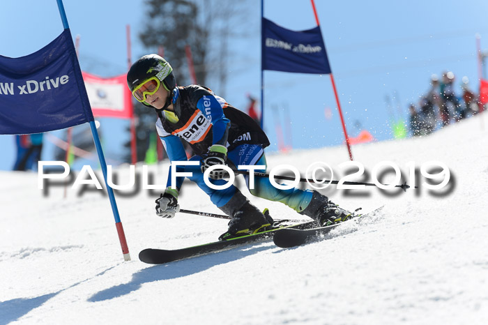 Ziener Cup WF,Finale, Quali + PSL, 30.03.2019