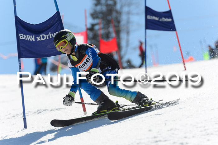 Ziener Cup WF,Finale, Quali + PSL, 30.03.2019