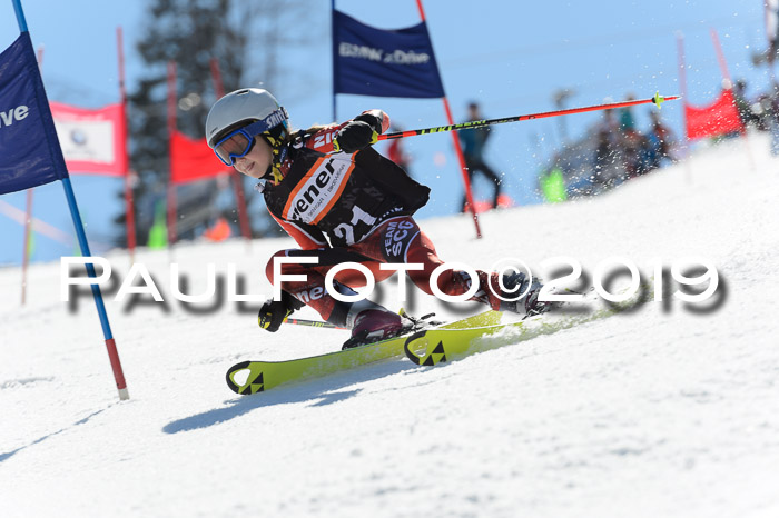 Ziener Cup WF,Finale, Quali + PSL, 30.03.2019