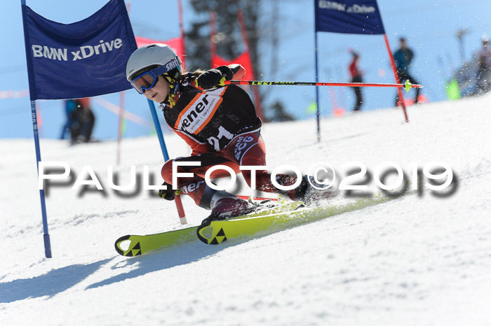 Ziener Cup WF,Finale, Quali + PSL, 30.03.2019