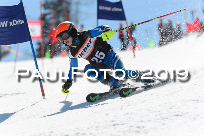 Ziener Cup WF,Finale, Quali + PSL, 30.03.2019